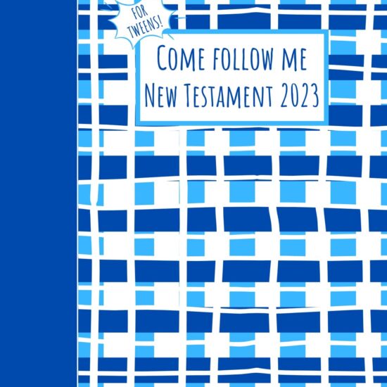 come follow me new testament 2023 study guide blue plaid