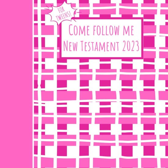 come follow me new testament 2023 study guide pink plaid